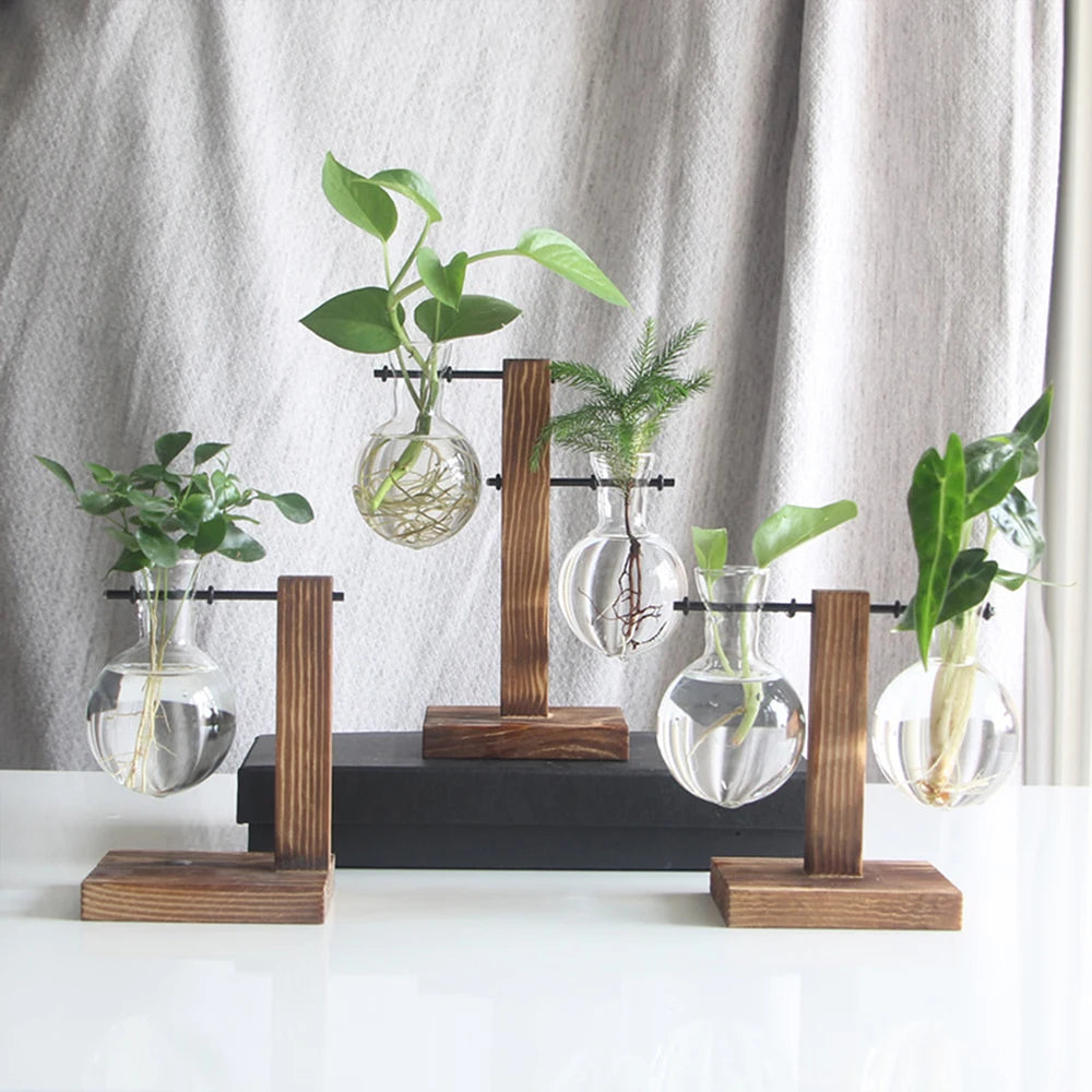 Wooden stand for hydroponic plants in the form of glass flasks